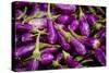 Baby Eggplants Fresh Produce Photo Poster Print-null-Stretched Canvas