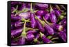 Baby Eggplants Fresh Produce Photo Poster Print-null-Framed Stretched Canvas