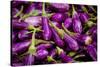 Baby Eggplants Fresh Produce Photo Poster Print-null-Stretched Canvas