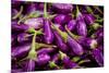 Baby Eggplants Fresh Produce Photo Poster Print-null-Mounted Poster