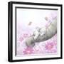 Baby Elepant Sleeping-MAKIKO-Framed Giclee Print