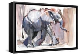 Baby Elephant, 2012-Mark Adlington-Framed Stretched Canvas