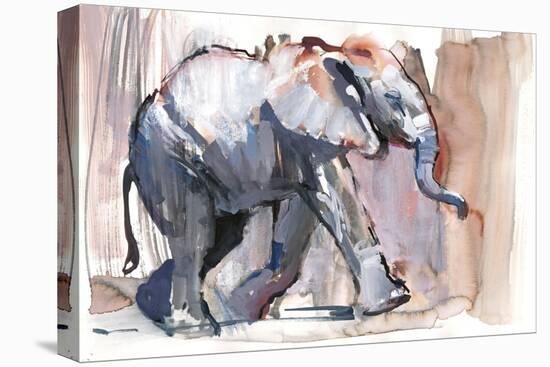 Baby Elephant, 2012-Mark Adlington-Stretched Canvas