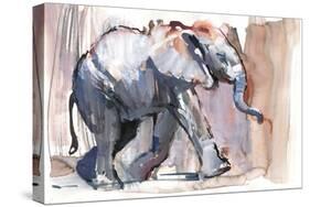 Baby Elephant, 2012-Mark Adlington-Stretched Canvas