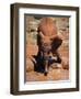 Baby Elephant at the David Sheldrick Wildlife Trust Elephant Orphanage, Nairobi-Andrew Mcconnell-Framed Photographic Print