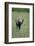 Baby Elephant Lifting its Trunk-DLILLC-Framed Photographic Print