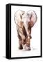 Baby Elephant Loisaba 2-Mark Adlington-Framed Stretched Canvas