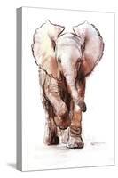 Baby Elephant Loisaba 2-Mark Adlington-Stretched Canvas