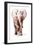 Baby Elephant Loisaba 2-Mark Adlington-Framed Giclee Print