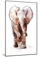 Baby Elephant Loisaba 2-Mark Adlington-Mounted Giclee Print