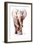 Baby Elephant Loisaba 2-Mark Adlington-Framed Premium Giclee Print