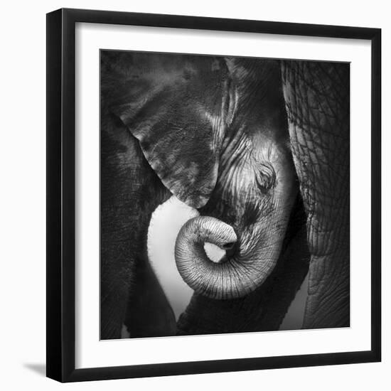 Baby Elephant Seeking Comfort against Mother's Leg - Etosha National Park-Johan Swanepoel-Framed Photographic Print