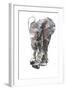 Baby Elephant Study-Mark Adlington-Framed Giclee Print