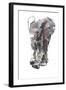 Baby Elephant Study-Mark Adlington-Framed Giclee Print