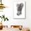 Baby Elephant Study-Mark Adlington-Framed Giclee Print displayed on a wall