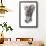 Baby Elephant Study-Mark Adlington-Framed Giclee Print displayed on a wall