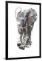Baby Elephant Study-Mark Adlington-Framed Giclee Print