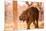 Baby elephant walking, Chitwan Elephant Sanctuary, Nepal, Asia-Laura Grier-Mounted Premium Photographic Print