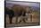 Baby Elephant Walking with Adults-DLILLC-Framed Stretched Canvas