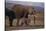 Baby Elephant Walking with Adults-DLILLC-Stretched Canvas