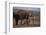 Baby Elephant Walking with Adults-DLILLC-Framed Photographic Print