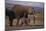 Baby Elephant Walking with Adults-DLILLC-Mounted Photographic Print