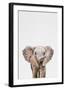 Baby Elephant-Tai Prints-Framed Art Print