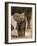 Baby Elephant-Martin Harvey-Framed Photographic Print