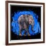 Baby Elephant-null-Framed Art Print