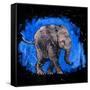 Baby Elephant-null-Framed Stretched Canvas