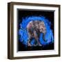 Baby Elephant-null-Framed Art Print