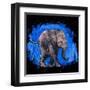 Baby Elephant-null-Framed Art Print