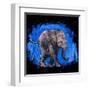 Baby Elephant-null-Framed Art Print