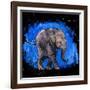 Baby Elephant-null-Framed Art Print