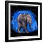 Baby Elephant-null-Framed Art Print