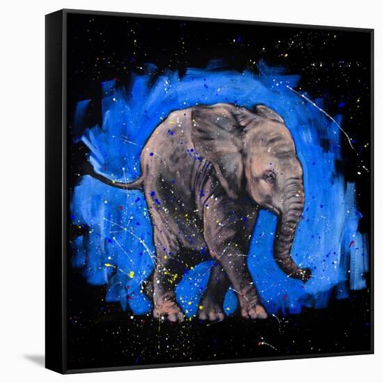 Baby Elephant-null-Framed Stretched Canvas