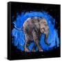 Baby Elephant-null-Framed Stretched Canvas