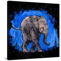 Baby Elephant-null-Stretched Canvas