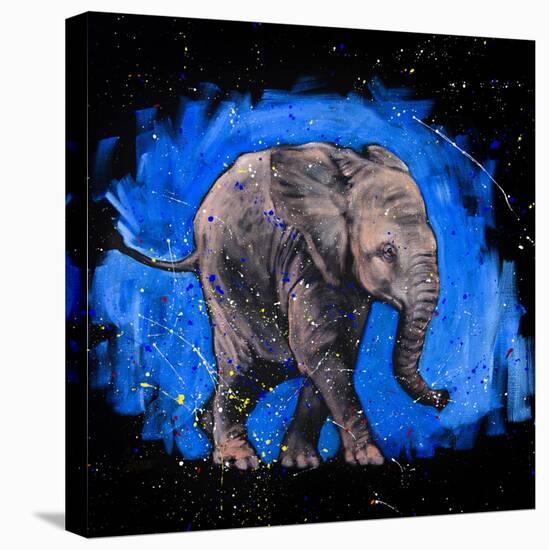 Baby Elephant-null-Stretched Canvas