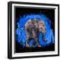 Baby Elephant-null-Framed Premium Giclee Print