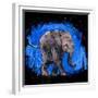 Baby Elephant-null-Framed Premium Giclee Print