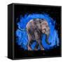 Baby Elephant-null-Framed Stretched Canvas