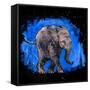 Baby Elephant-null-Framed Stretched Canvas