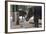 Baby Elephants (Elephantidae) at the Pinnewala Elephant Orphanage, Sri Lanka, Asia-Charlie-Framed Photographic Print