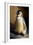 Baby Emperor Penguin I-Vivienne Dupont-Framed Art Print