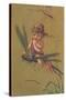 Baby Fairy Riding Dragonfly-null-Stretched Canvas