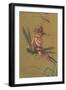 Baby Fairy Riding Dragonfly-null-Framed Art Print