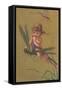 Baby Fairy Riding Dragonfly-null-Framed Stretched Canvas