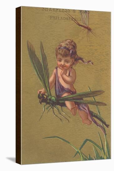 Baby Fairy Riding Dragonfly-null-Stretched Canvas