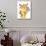 Baby Fox with Flowers-ZPR Int’L-Premium Giclee Print displayed on a wall